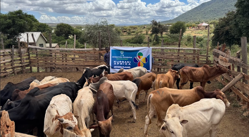 Kurban za Keniju 2025